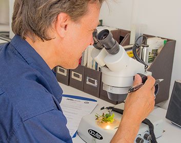 Jacques Leboeuf arboriste et laboratoire spécialisé Jacques Leboeuf arboriste et laboratoire spécialisé